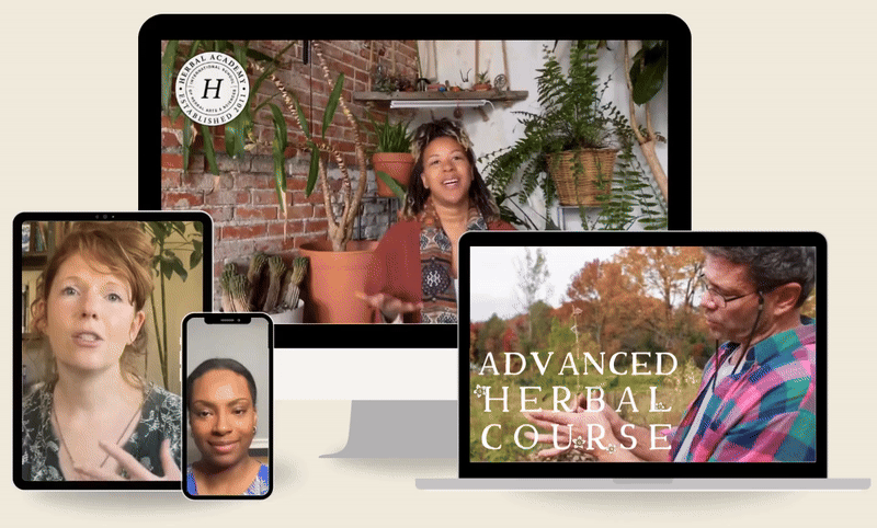 AdvancedHerbalCourse-Herbal Academy teachers