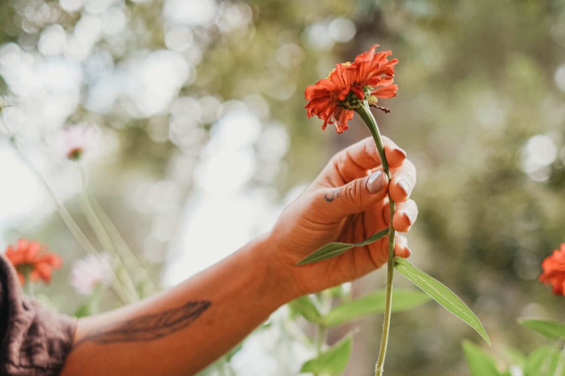 2026 Virtual Herbalism Conference wholeness theme