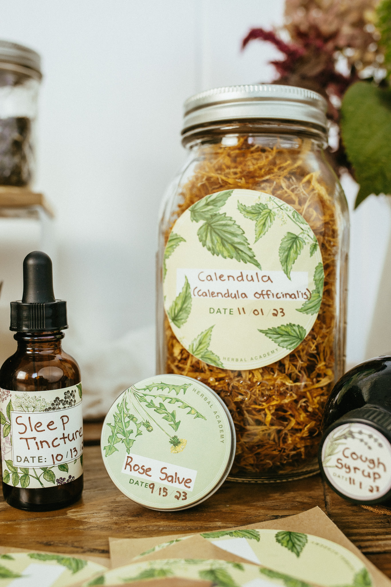 Assorted Herbal Apothecary Labels Set by Herbal Academy