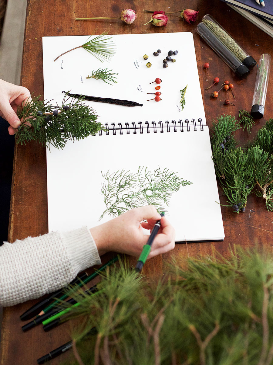 Botany and Wildcrafting Course