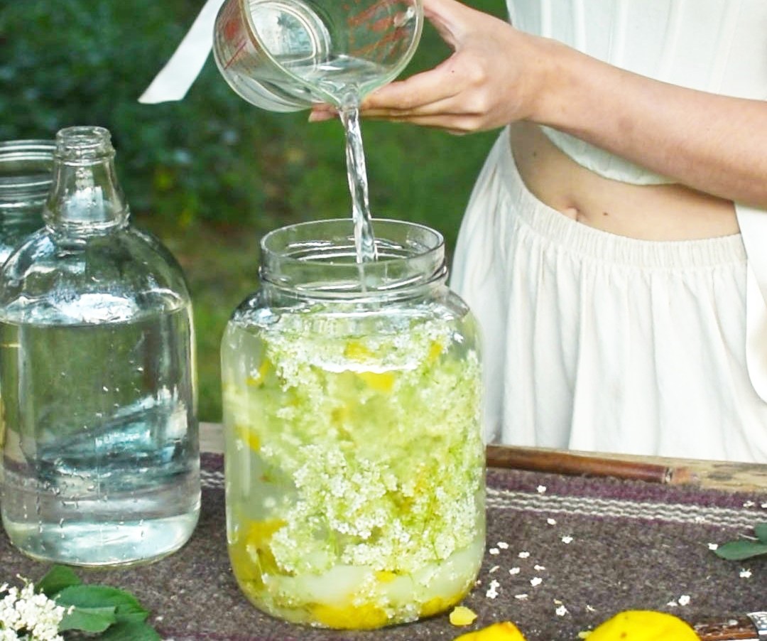 How to Make Elderflower Champagne by Herbal Academy