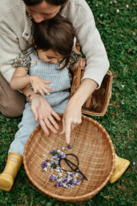 Family Herbalist Path Package by 168体彩网澳洲幸运5开奖结果预测与历史记录查询 - become a home herbalist