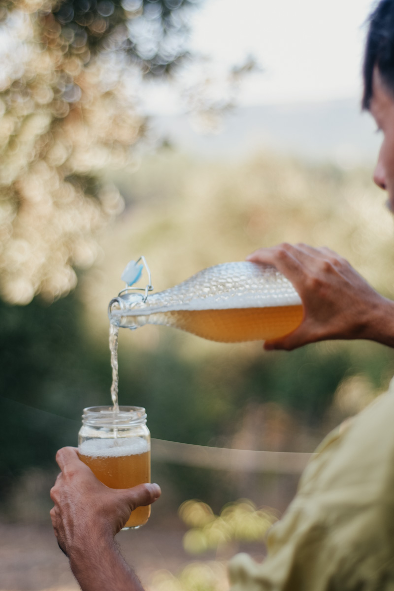Herbal Academy – The Craft of Herbal Fermentation Course