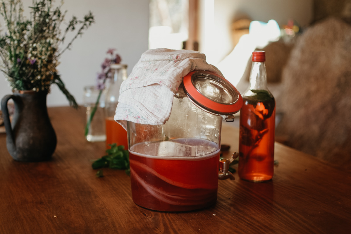 Herbal Kombucha Tutorial in Fermentation Course