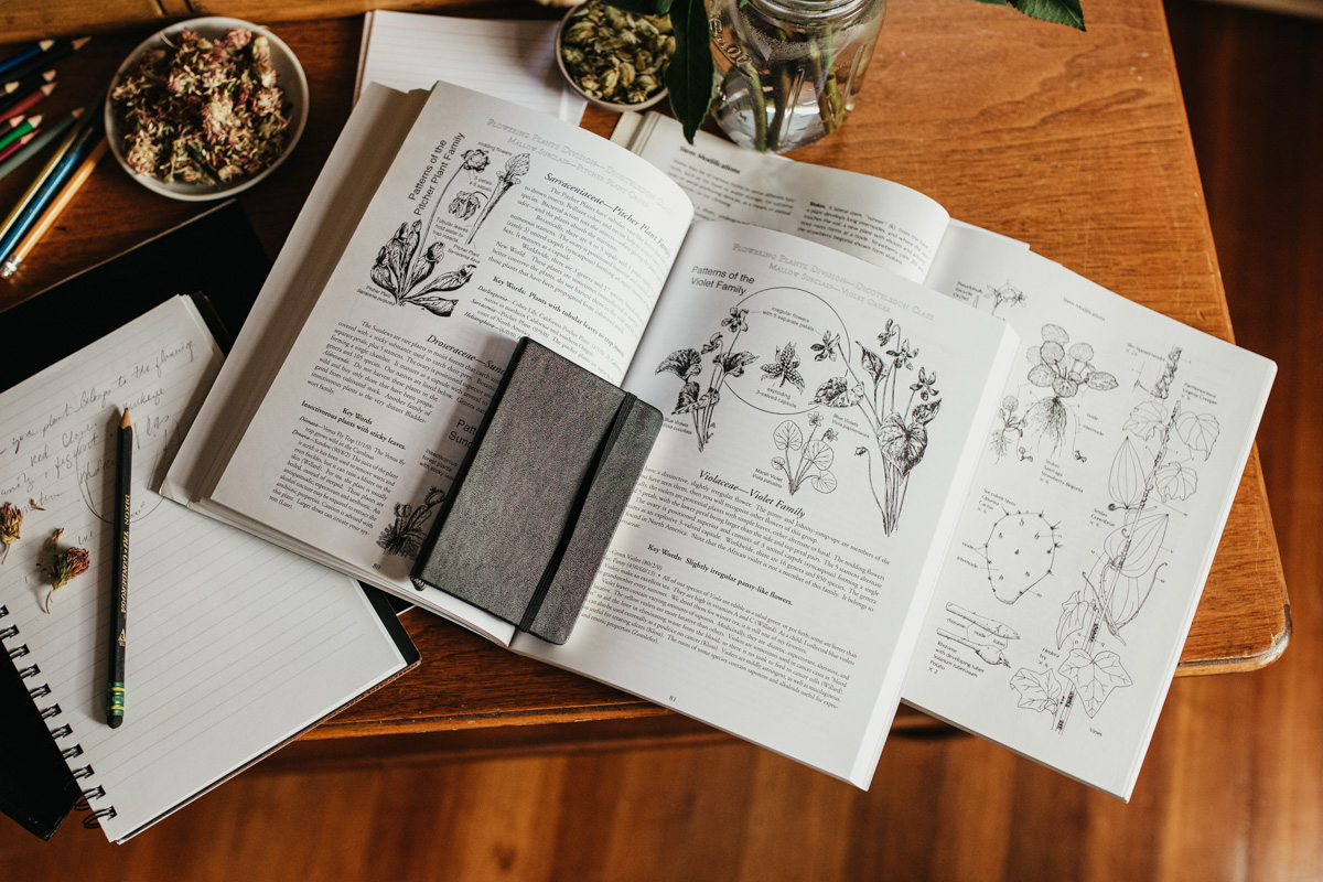 Herbal Academy Herbal Materia Medica Course - studying one herb at a time