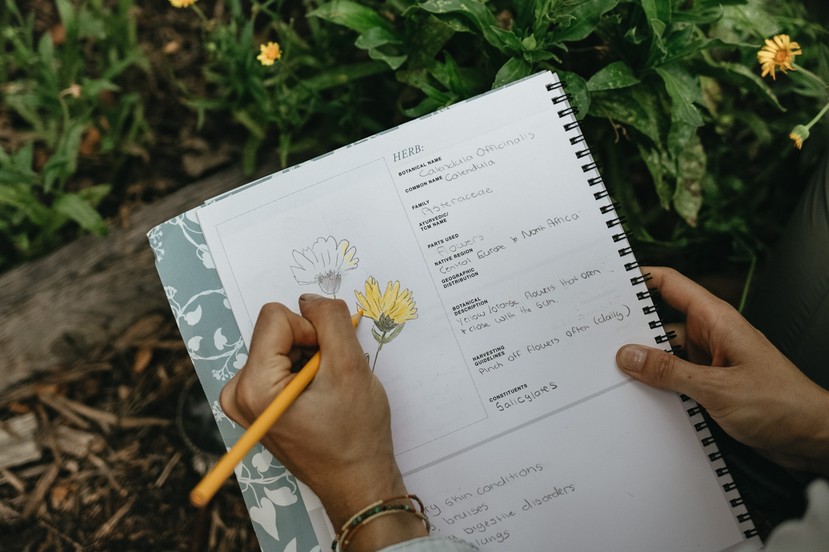 Herbal materia medica journal