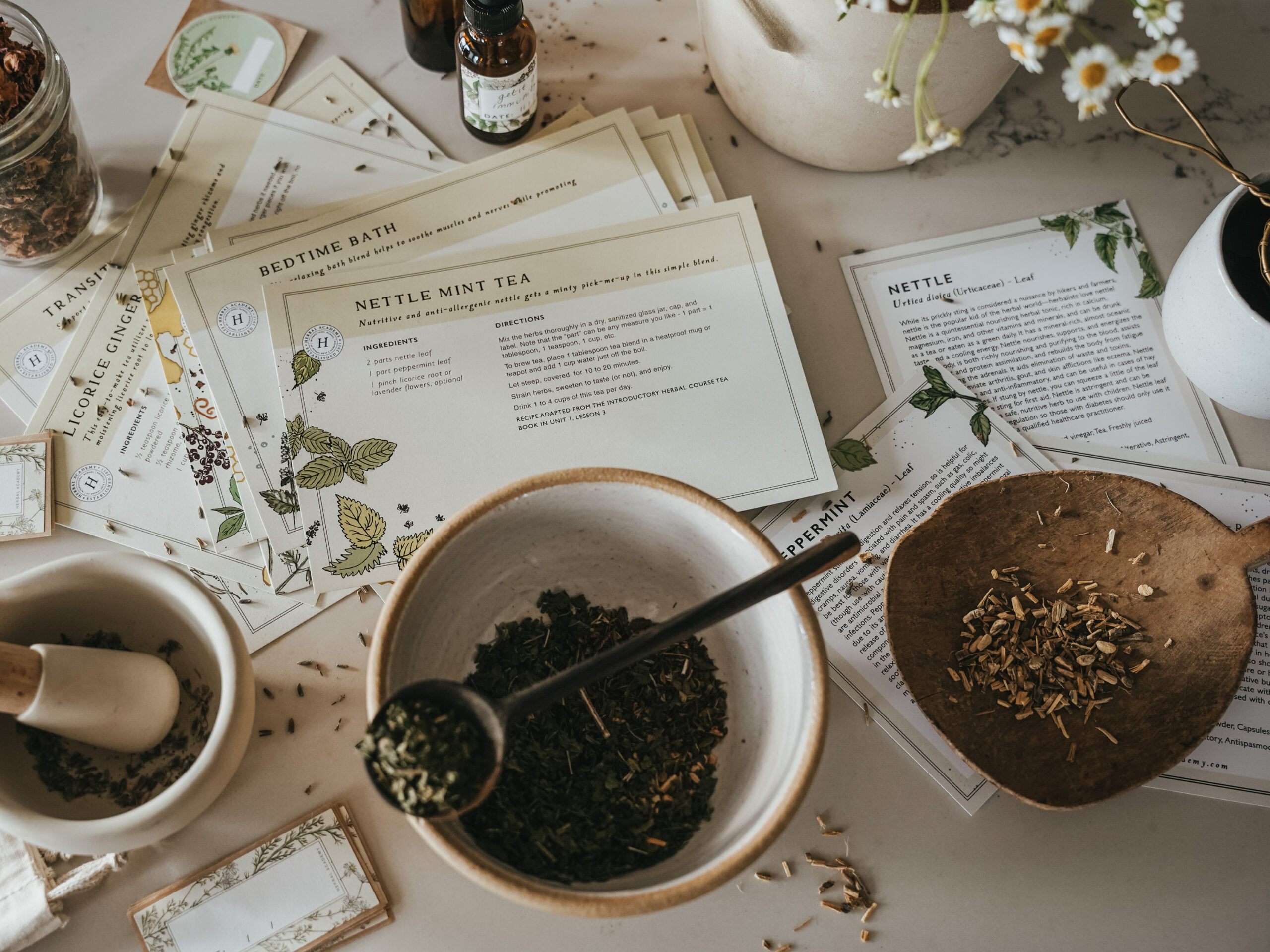 Herbal Academy Herbal Starter Kit - a complete kit to help you learn herbalism