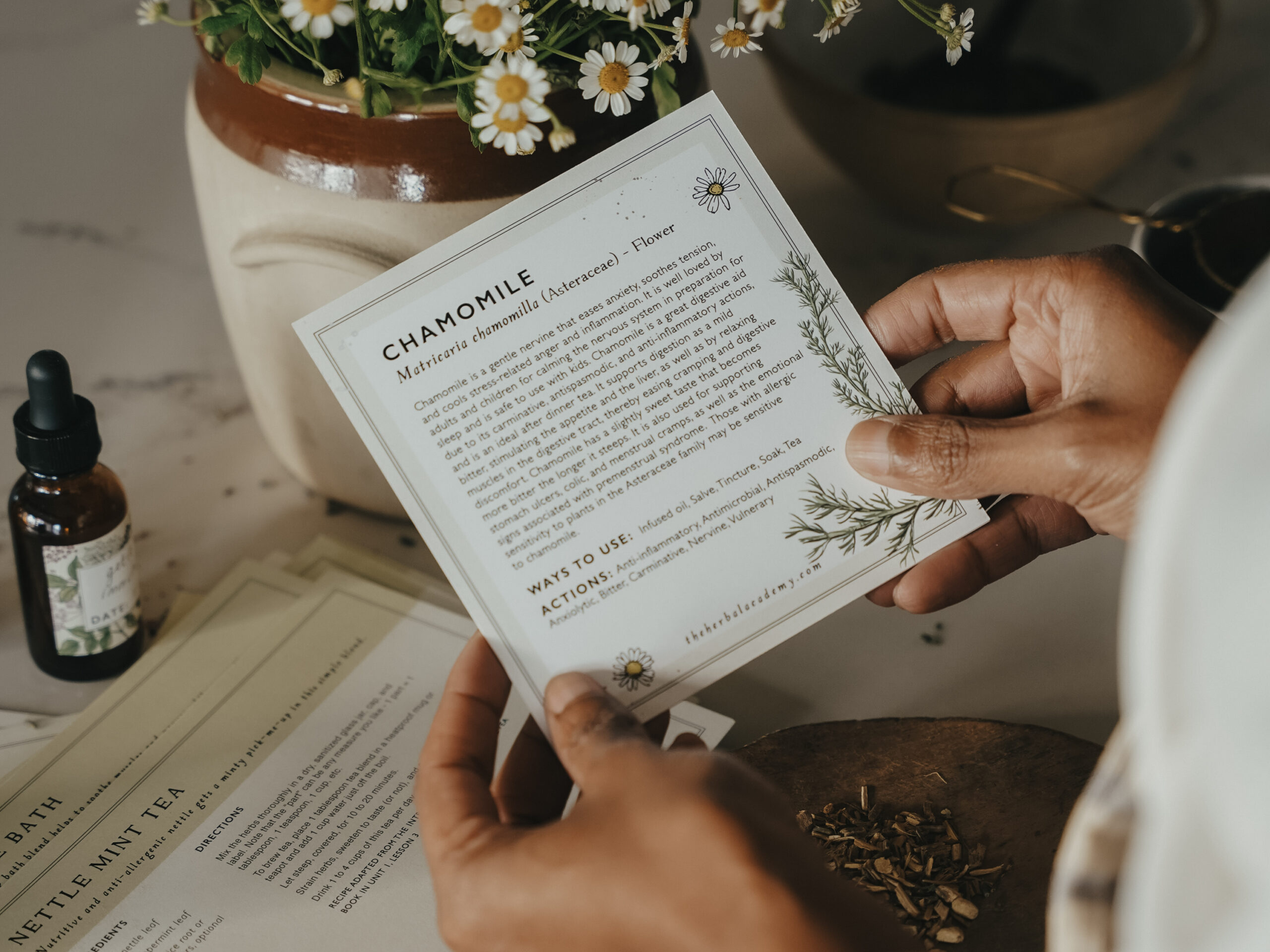 Herbal Academy Herbal Starter Kit - a complete kit to help you learn herbalism