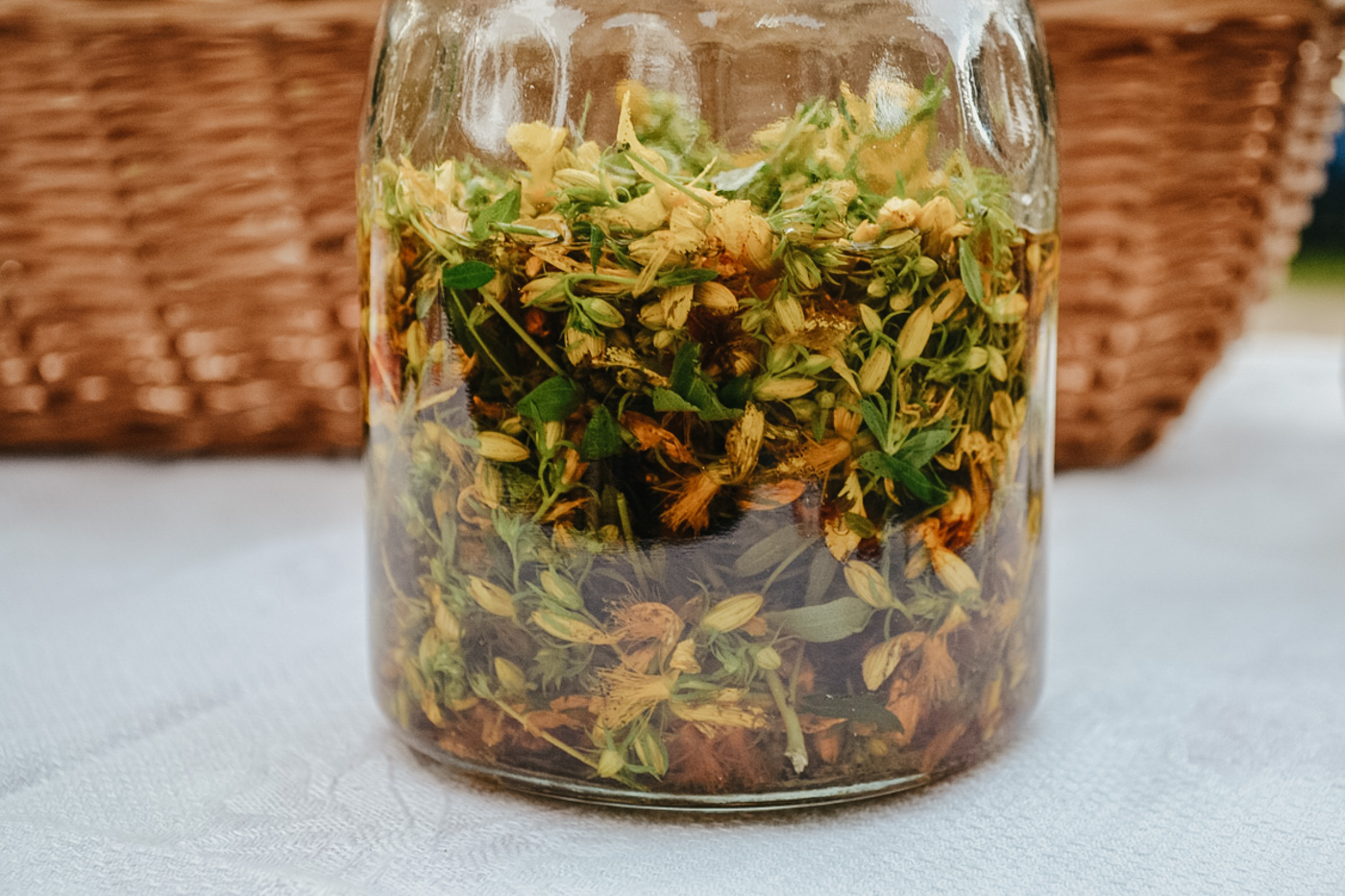 Herbal Academy's The Foraging Course – introduction to foraging and making wild foraged remedies