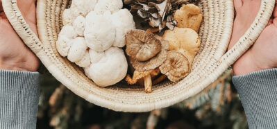 Herbal Academy's The Mushroom Course