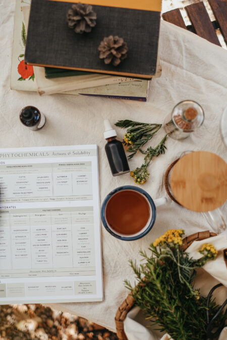 Herbal Formulary Notebook by Herbal Academy - develop your herbal formulation skills