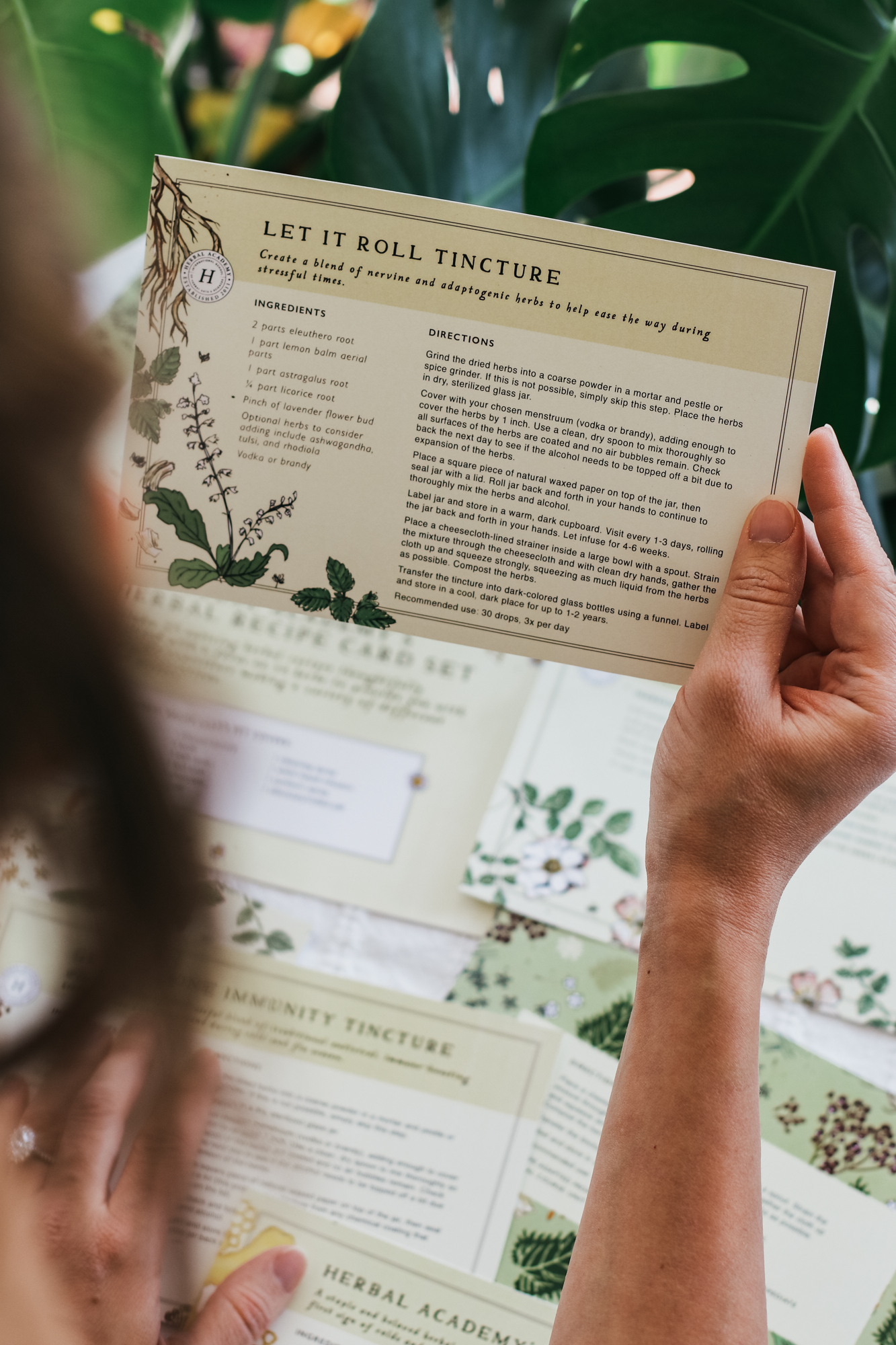 Herbal Recipe Card Set by Herbal Academy – start learning herbs easily