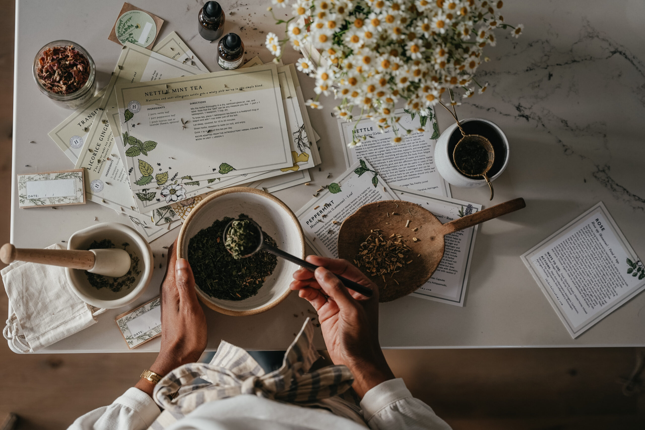 Herbal Starter Kit - herbs and supplies to get started