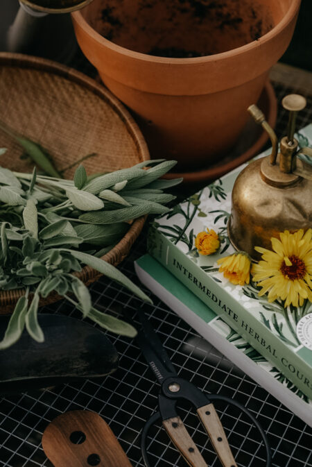 Intermediate Herbal Course textbooks