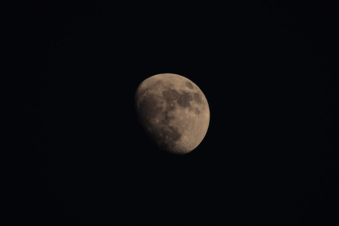 Lunar Herbalism: Plants Associated with the Moon by Herbal Academy
