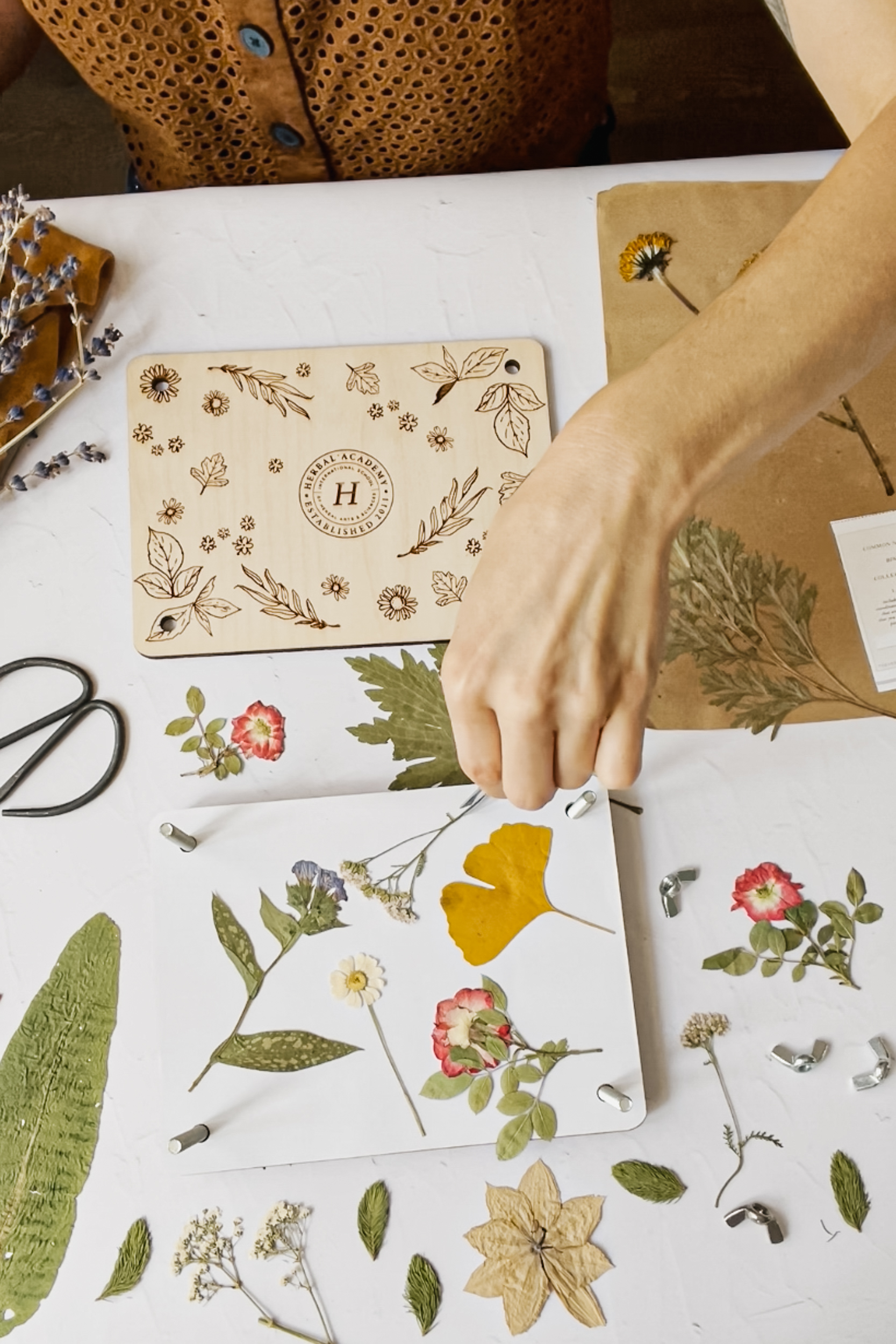 Online Flower Pressing Workshop by Herbal Academy-7
