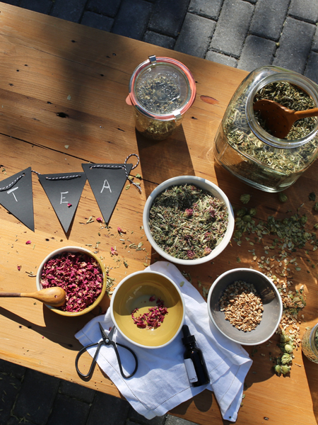 The Entrepreneur Herbal Course - online herbal course