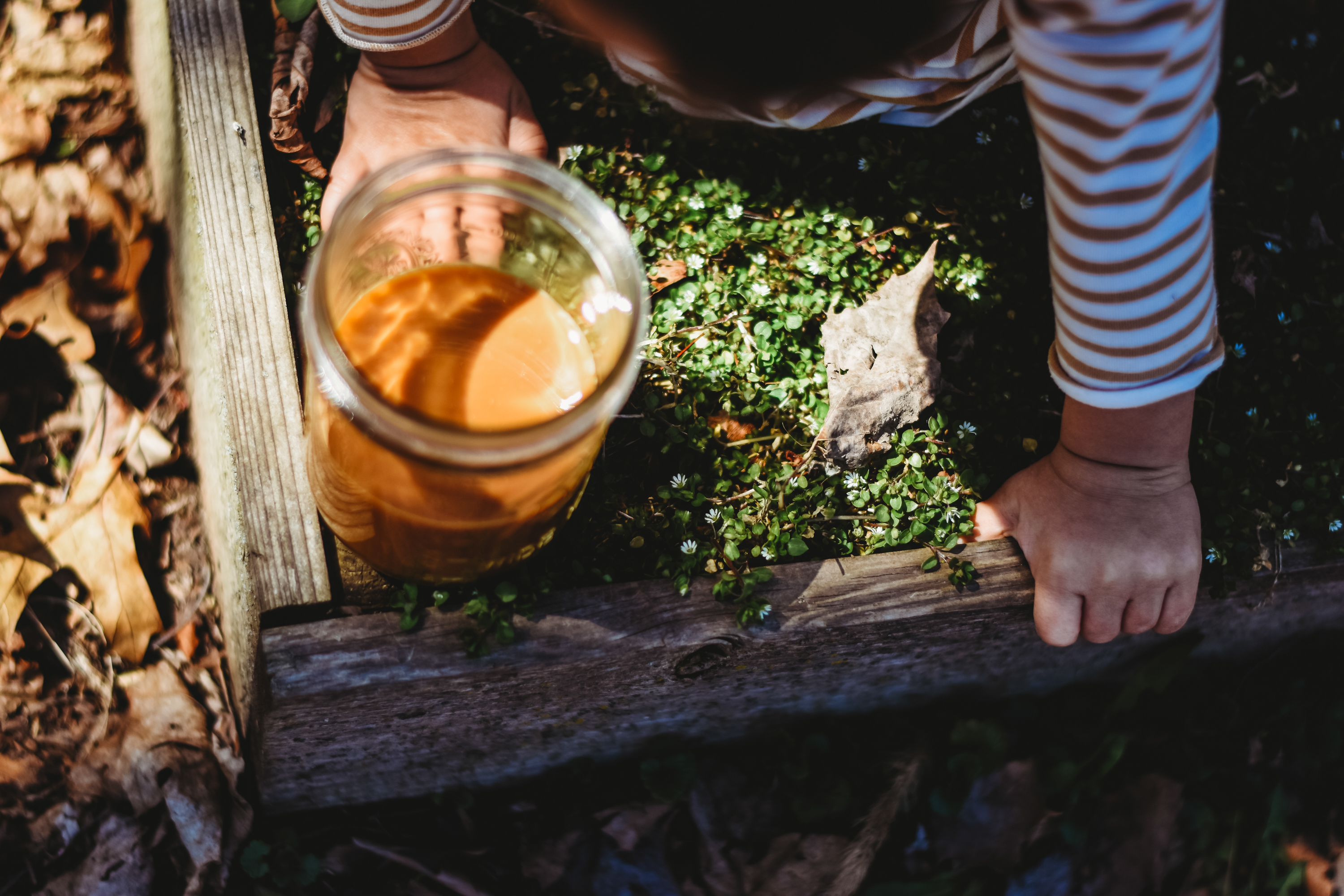 Online Nature Kids Camp Herbalism for Kids by the Herbal Academy