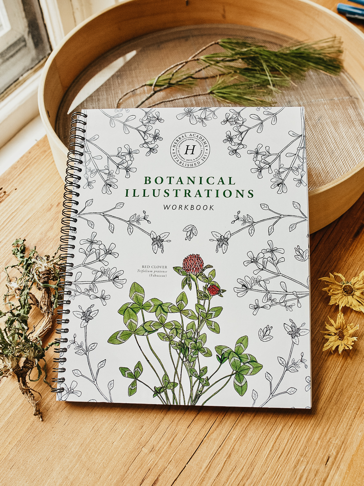 Botanical Illustrations Workbook