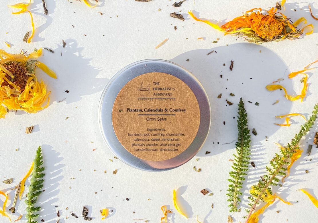 Herbal Academy Student Feature: Haille Olimb (@theherbalistsassistant) by Herbal Academy
