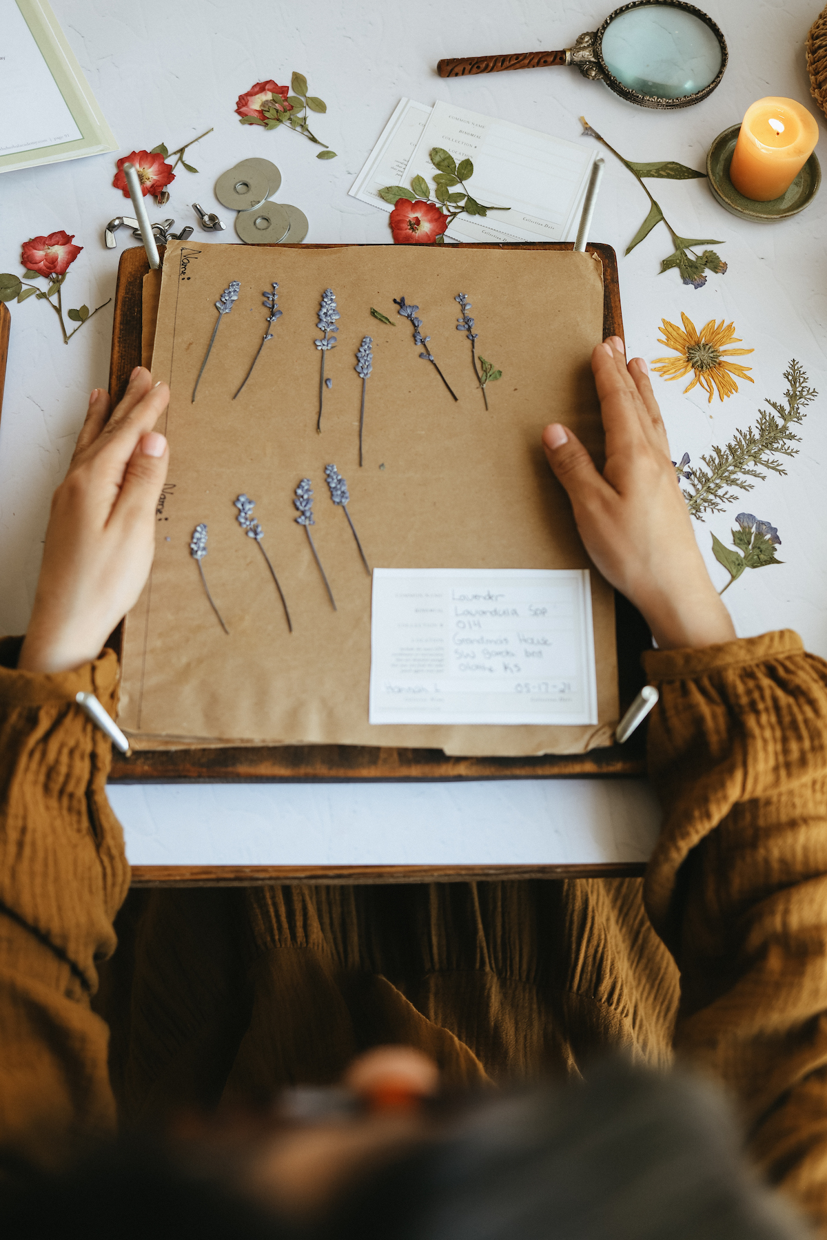 The Herbal Academy Flower Pressing for Herbalists Workshop