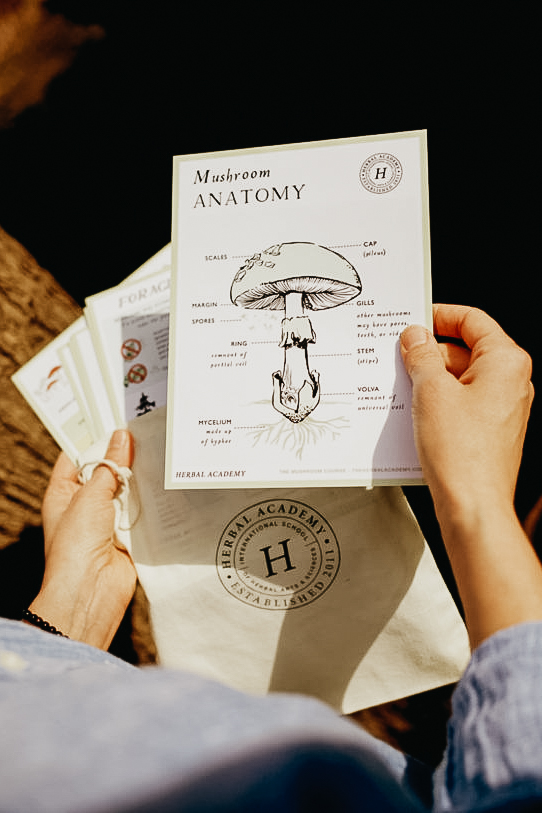 The Mushroom Foraging Kit - Herbal Academy